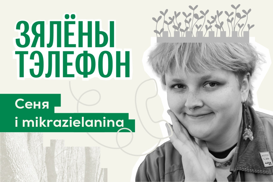 Портфолио проекта «Зелёный телефон»